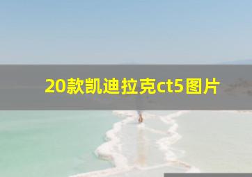 20款凯迪拉克ct5图片