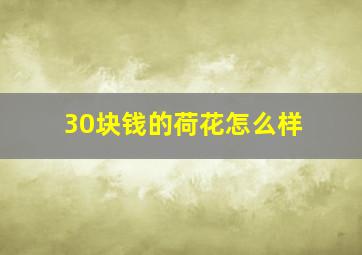 30块钱的荷花怎么样