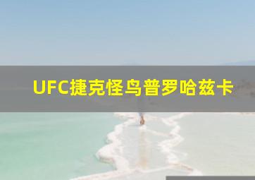 UFC捷克怪鸟普罗哈兹卡