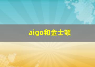 aigo和金士顿