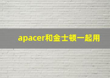 apacer和金士顿一起用