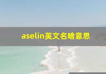 aselin英文名啥意思