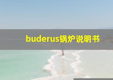 buderus锅炉说明书