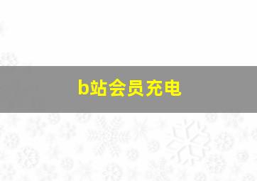 b站会员充电