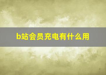 b站会员充电有什么用