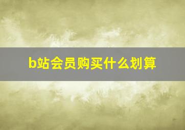 b站会员购买什么划算