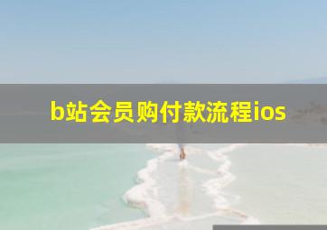 b站会员购付款流程ios