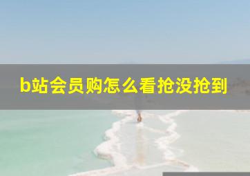 b站会员购怎么看抢没抢到