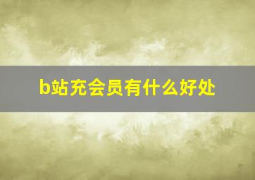 b站充会员有什么好处