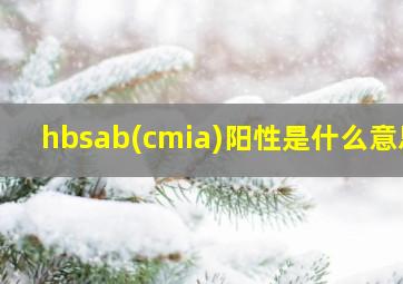 hbsab(cmia)阳性是什么意思