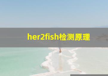 her2fish检测原理