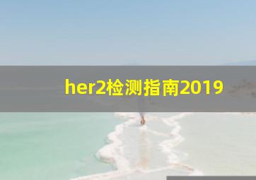 her2检测指南2019