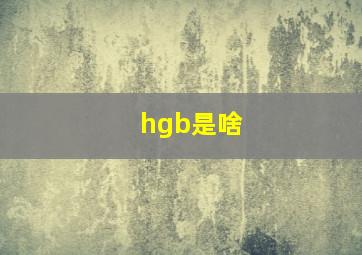 hgb是啥