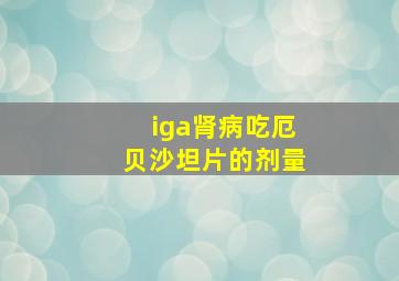 iga肾病吃厄贝沙坦片的剂量