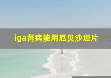 iga肾病能用厄贝沙坦片