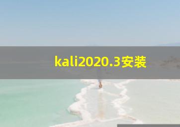 kali2020.3安装