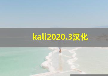 kali2020.3汉化