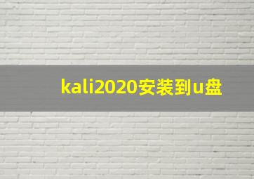 kali2020安装到u盘