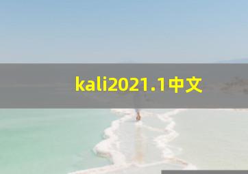 kali2021.1中文