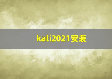 kali2021安装