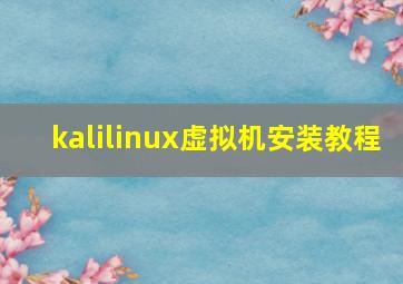 kalilinux虚拟机安装教程