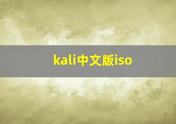 kali中文版iso