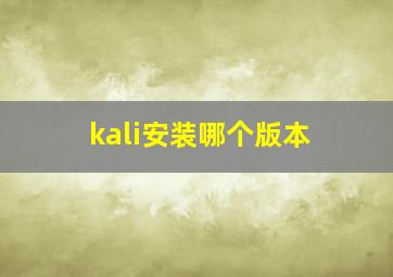 kali安装哪个版本