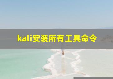 kali安装所有工具命令