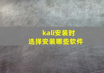 kali安装时选择安装哪些软件