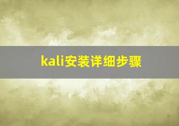 kali安装详细步骤