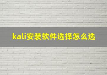 kali安装软件选择怎么选