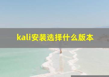 kali安装选择什么版本