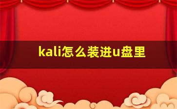 kali怎么装进u盘里