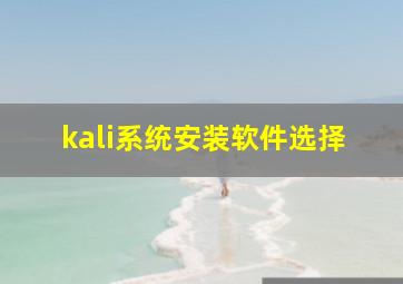 kali系统安装软件选择