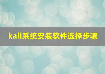 kali系统安装软件选择步骤