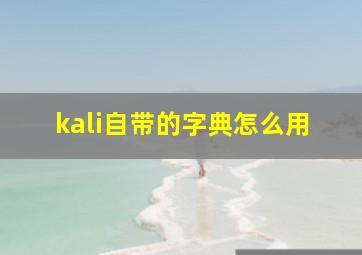 kali自带的字典怎么用