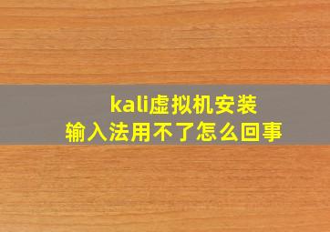 kali虚拟机安装输入法用不了怎么回事