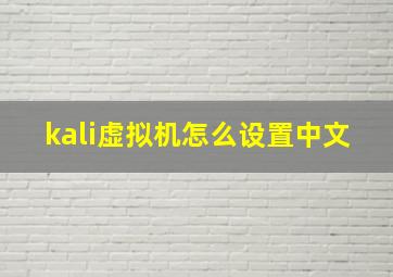 kali虚拟机怎么设置中文