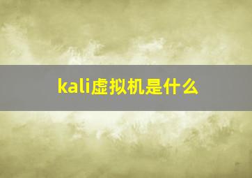 kali虚拟机是什么