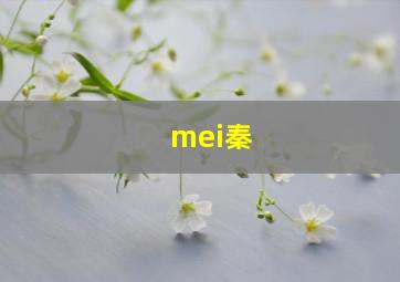 mei秦