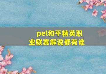 pel和平精英职业联赛解说都有谁