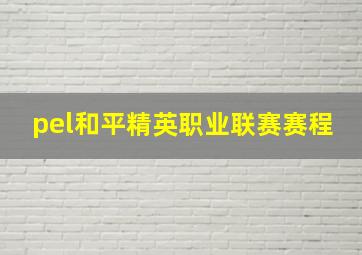 pel和平精英职业联赛赛程