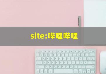 site:哔哩哔哩