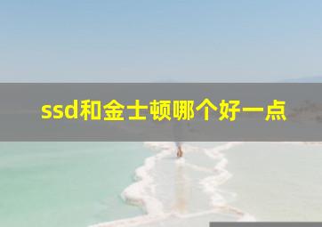 ssd和金士顿哪个好一点