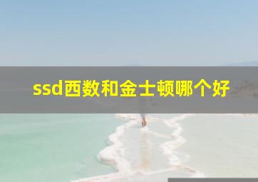 ssd西数和金士顿哪个好