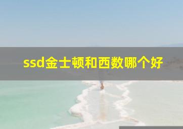 ssd金士顿和西数哪个好