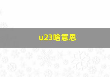 u23啥意思