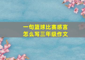 一句篮球比赛感言怎么写三年级作文