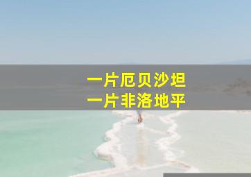 一片厄贝沙坦一片非洛地平