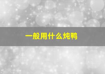 一般用什么炖鸭